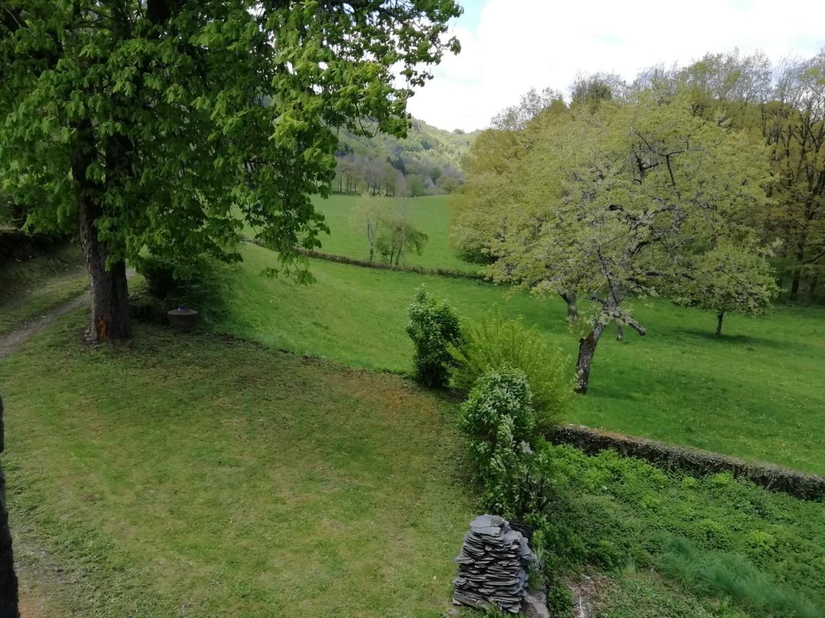 Maison A La Campagne Au Coeur Du Cantal Dept 15 Marmanhac Bagian luar foto
